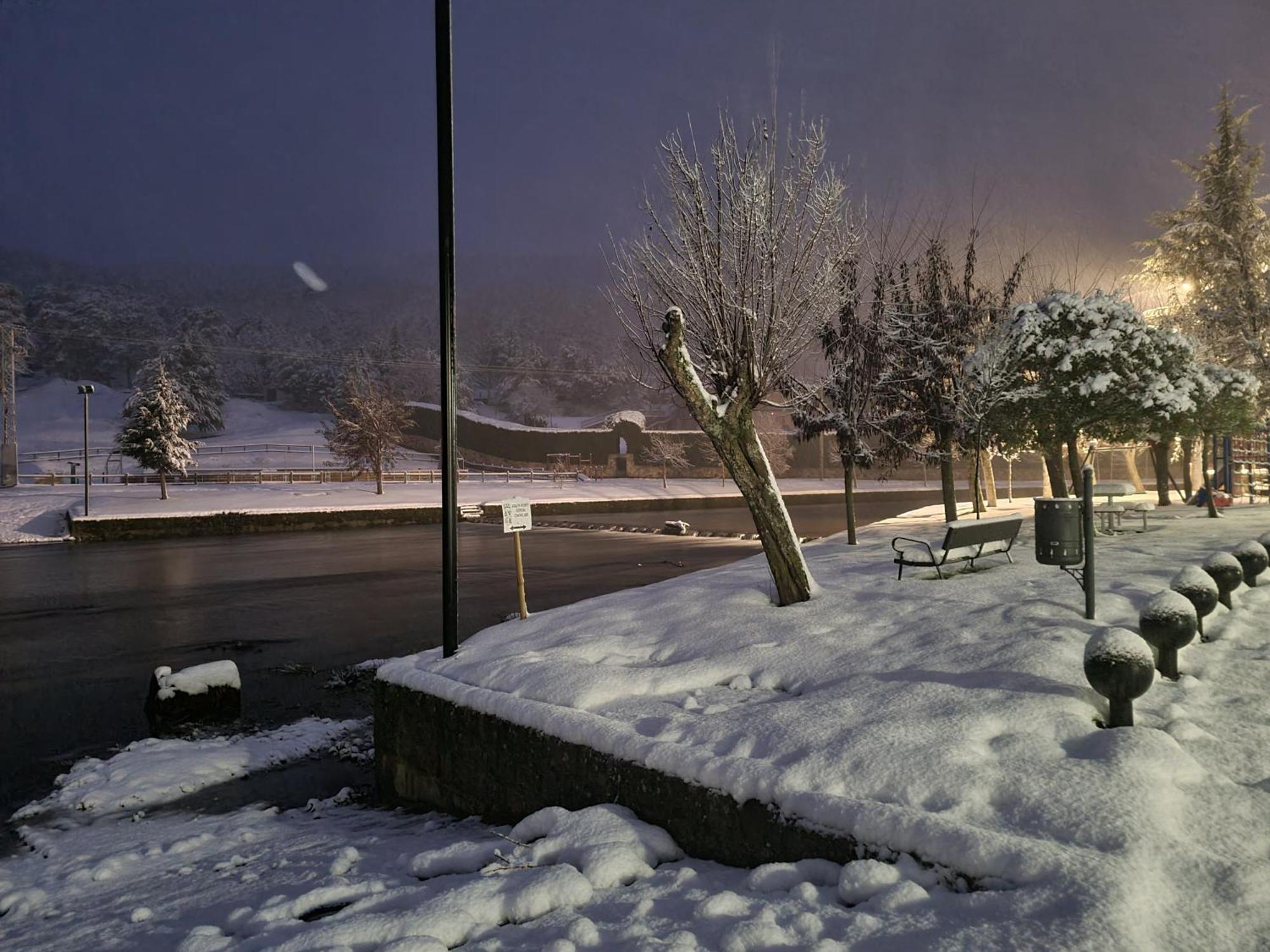 Nieves *
